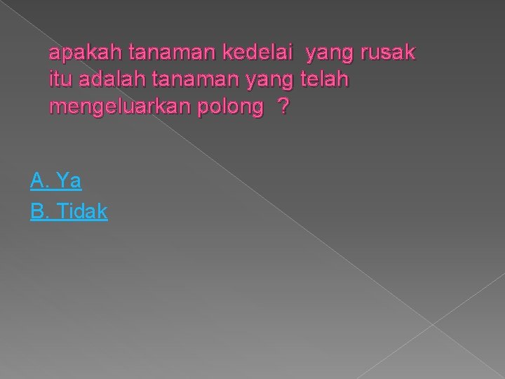 apakah tanaman kedelai yang rusak itu adalah tanaman yang telah mengeluarkan polong ? A.