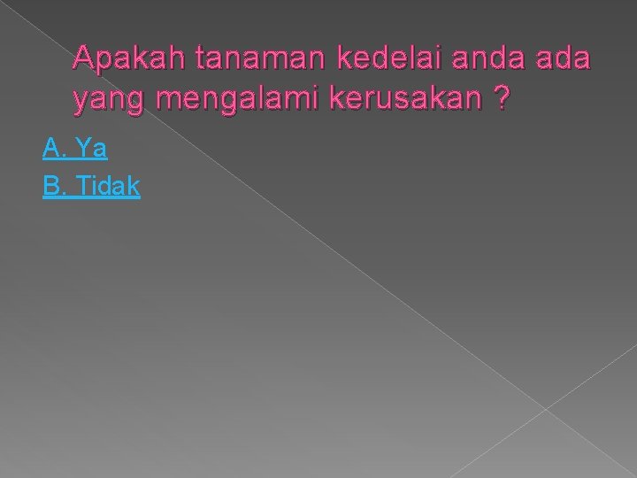 Apakah tanaman kedelai anda ada yang mengalami kerusakan ? A. Ya B. Tidak 