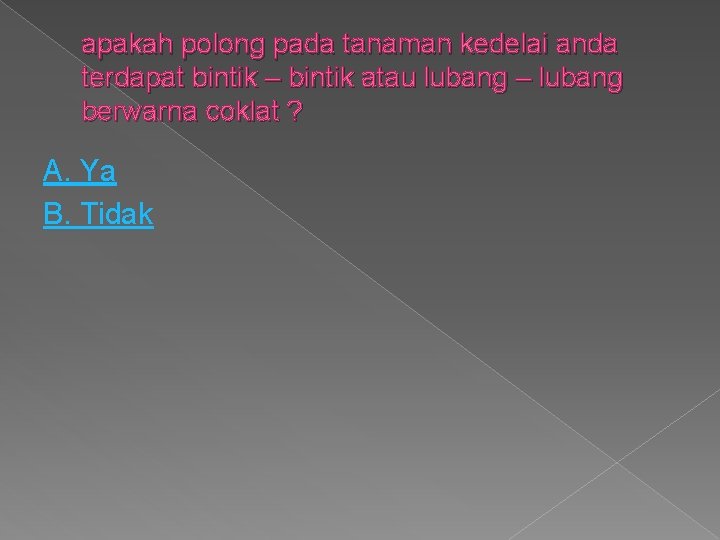 apakah polong pada tanaman kedelai anda terdapat bintik – bintik atau lubang – lubang