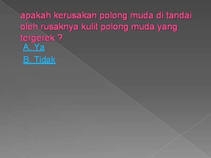 apakah kerusakan polong muda di tandai oleh rusaknya kulit polong muda yang tergerek ?