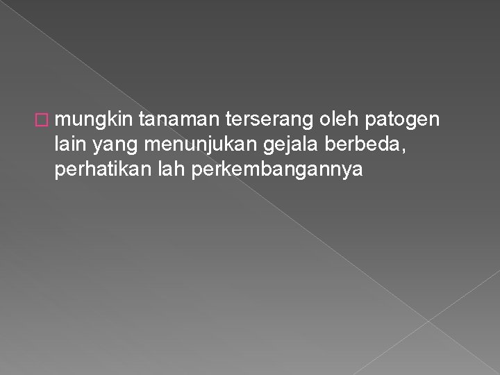 � mungkin tanaman terserang oleh patogen lain yang menunjukan gejala berbeda, perhatikan lah perkembangannya