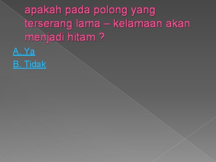 apakah pada polong yang terserang lama – kelamaan akan menjadi hitam ? A. Ya