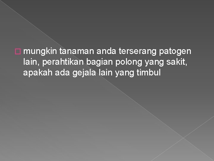 � mungkin tanaman anda terserang patogen lain, perahtikan bagian polong yang sakit, apakah ada