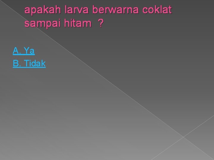 apakah larva berwarna coklat sampai hitam ? A. Ya B. Tidak 