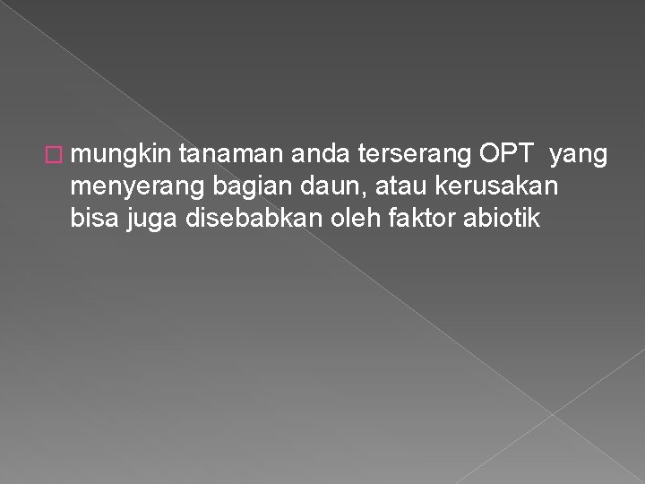 � mungkin tanaman anda terserang OPT yang menyerang bagian daun, atau kerusakan bisa juga