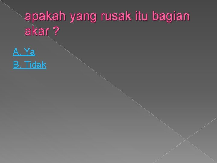 apakah yang rusak itu bagian akar ? A. Ya B. Tidak 