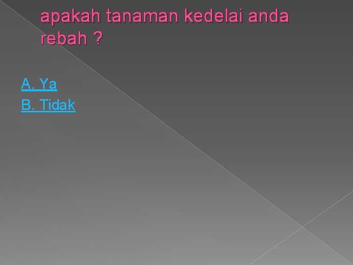 apakah tanaman kedelai anda rebah ? A. Ya B. Tidak 