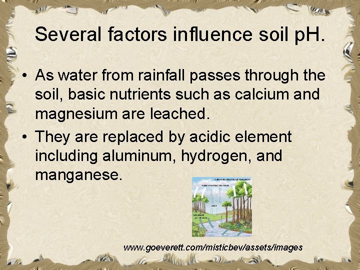 Several factors influence soil p. H. • As water from rainfall passes through the Several factors influence soil p. H. • As water from rainfall passes through the