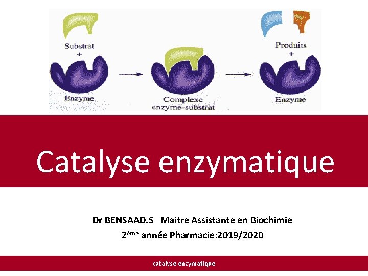 Catalyse enzymatique Dr BENSAAD. S Maitre Assistante en Biochimie 2ème année Pharmacie: 2019/2020 catalyse