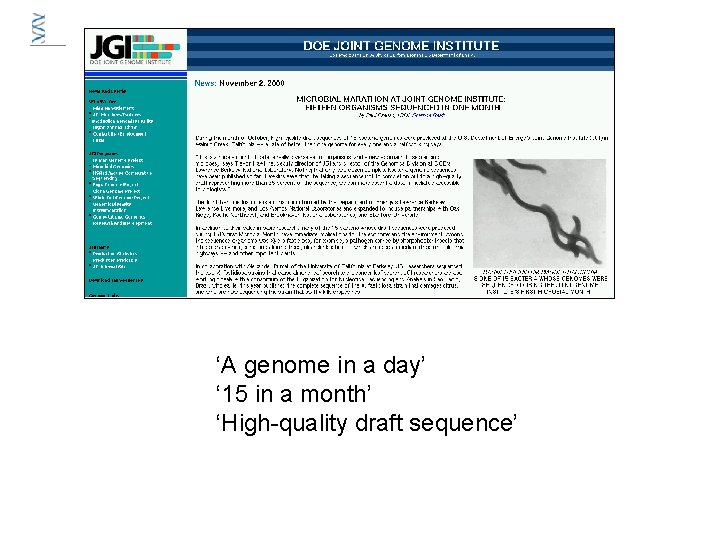 ‘A genome in a day’ ‘ 15 in a month’ ‘High-quality draft sequence’ ‘A genome in a day’ ‘ 15 in a month’ ‘High-quality draft sequence’