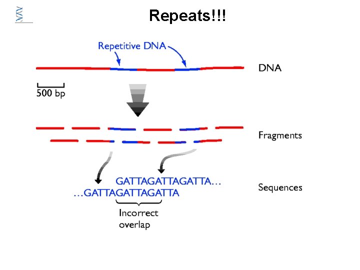 Repeats!!! Repeats!!!