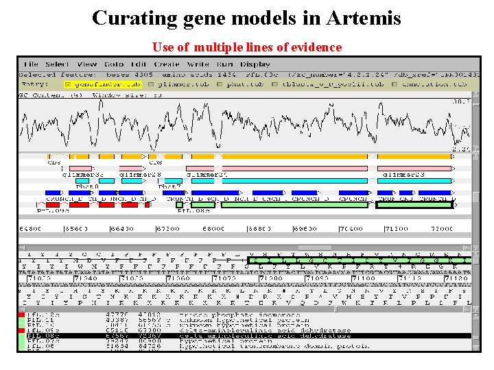 Curating gene models in Artemis Use of multiple lines of evidence Curating gene models in Artemis Use of multiple lines of evidence