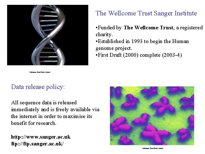 The Wellcome Trust Sanger Institute • Funded by The Wellcome Trust, a registered charity. The Wellcome Trust Sanger Institute • Funded by The Wellcome Trust, a registered charity.