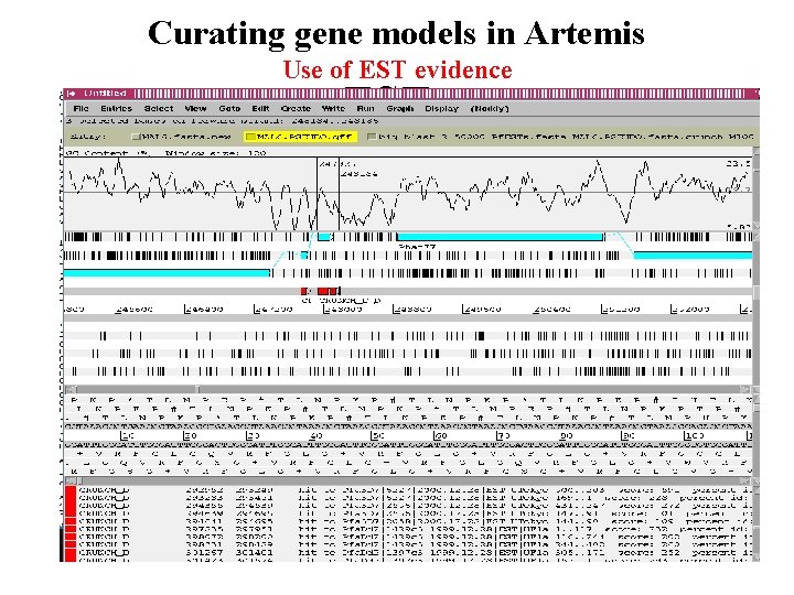 Curating gene models in Artemis Use of EST evidence ESTs Curating gene models in Artemis Use of EST evidence ESTs