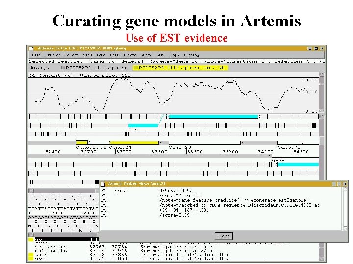 Curating gene models in Artemis Use of EST evidence Curating gene models in Artemis Use of EST evidence