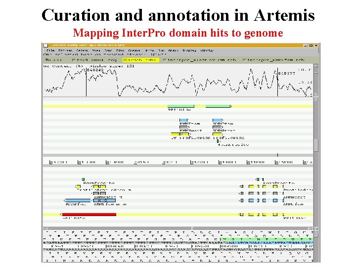 Curation and annotation in Artemis Mapping Inter. Pro domain hits to genome Curation and annotation in Artemis Mapping Inter. Pro domain hits to genome