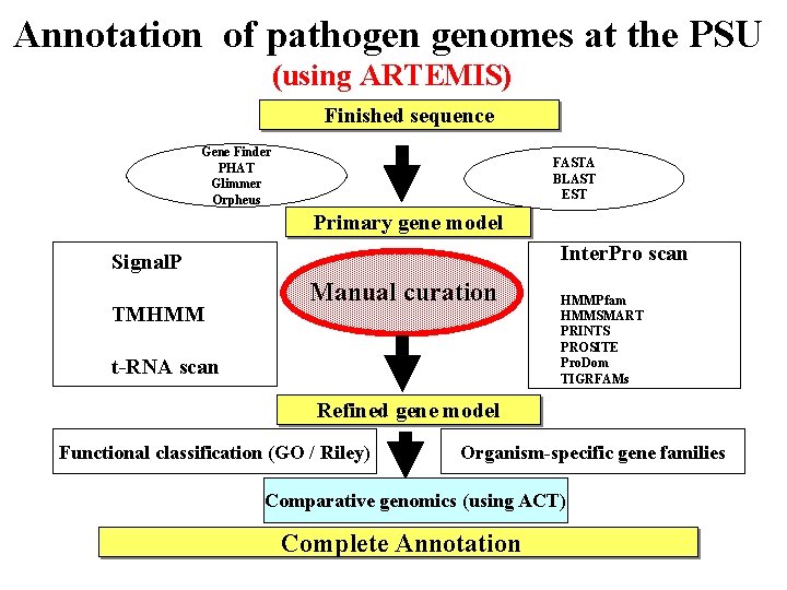 Annotation of pathogen genomes at the PSU (using ARTEMIS) Finished sequence Gene Finder PHAT Annotation of pathogen genomes at the PSU (using ARTEMIS) Finished sequence Gene Finder PHAT