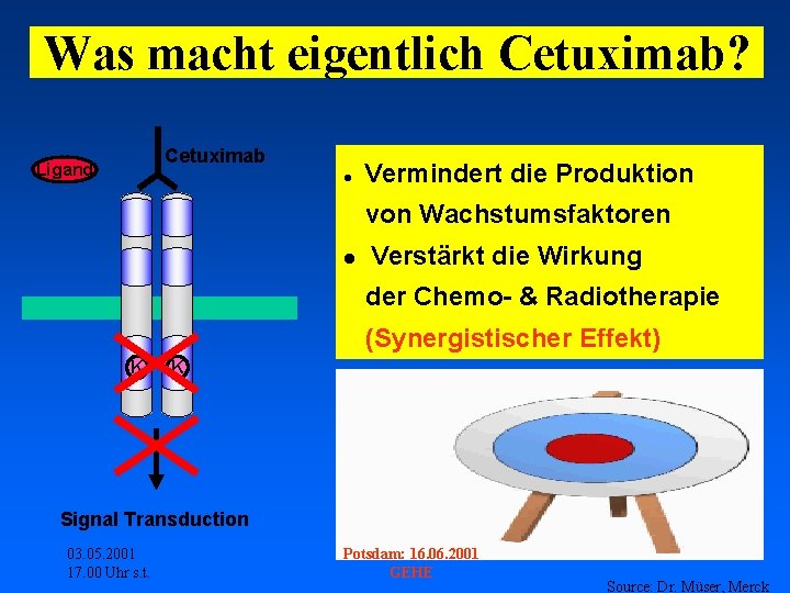 Was macht eigentlich Cetuximab? Cetuximab Ligand Vermindert die Produktion von Wachstumsfaktoren Verstärkt die Wirkung