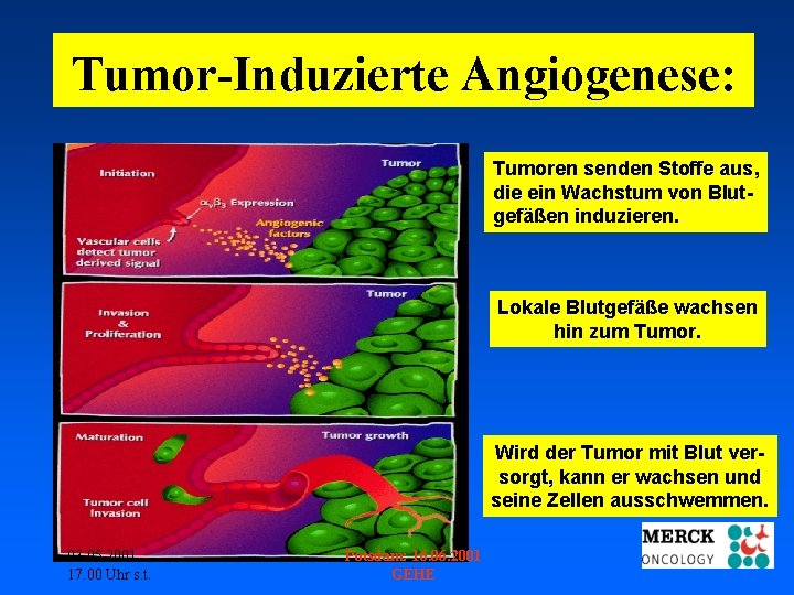 Tumor-Induzierte Angiogenese: Tumoren senden Stoffe aus, die ein Wachstum von Blutgefäßen induzieren. Lokale Blutgefäße