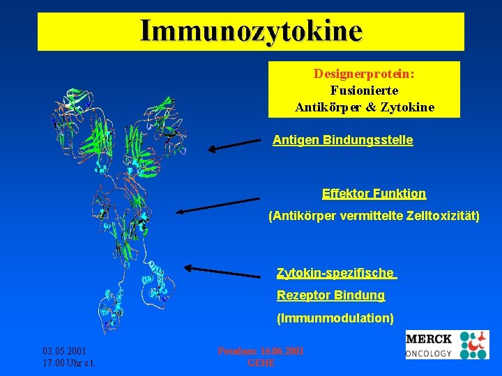 Immunozytokine Designerprotein: Fusionierte Antikörper & Zytokine Antigen Bindungsstelle Effektor Funktion (Antikörper vermittelte Zelltoxizität) Zytokin-spezifische
