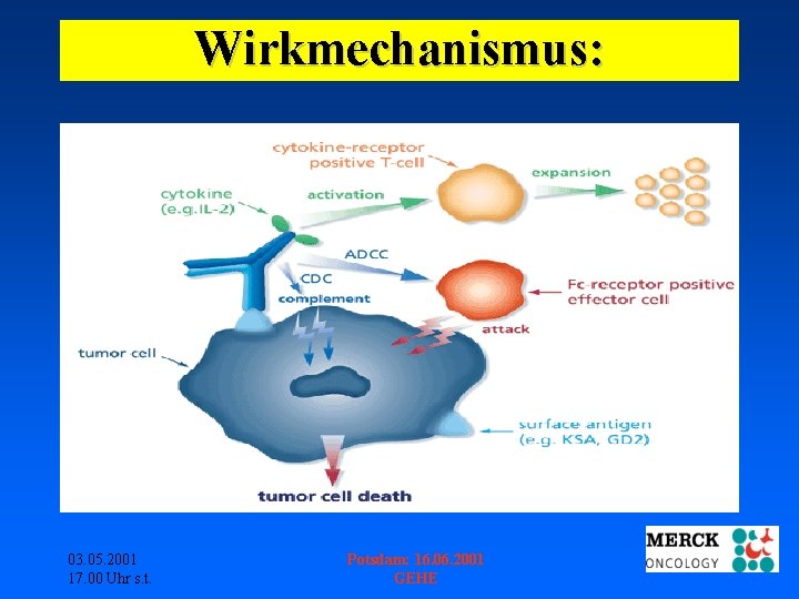 Wirkmechanismus: 03. 05. 2001 17. 00 Uhr s. t. Potsdam: 16. 06. 2001 GEHE