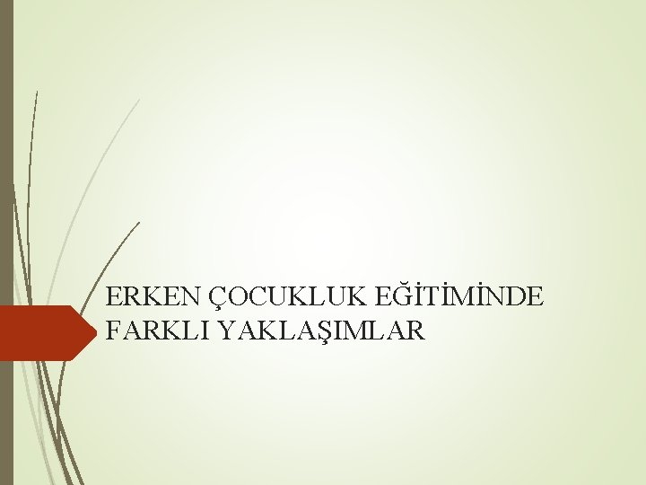 ERKEN ÇOCUKLUK EĞİTİMİNDE FARKLI YAKLAŞIMLAR 