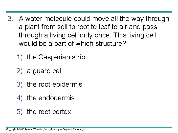 3. A water molecule could move all the way through a plant from soil