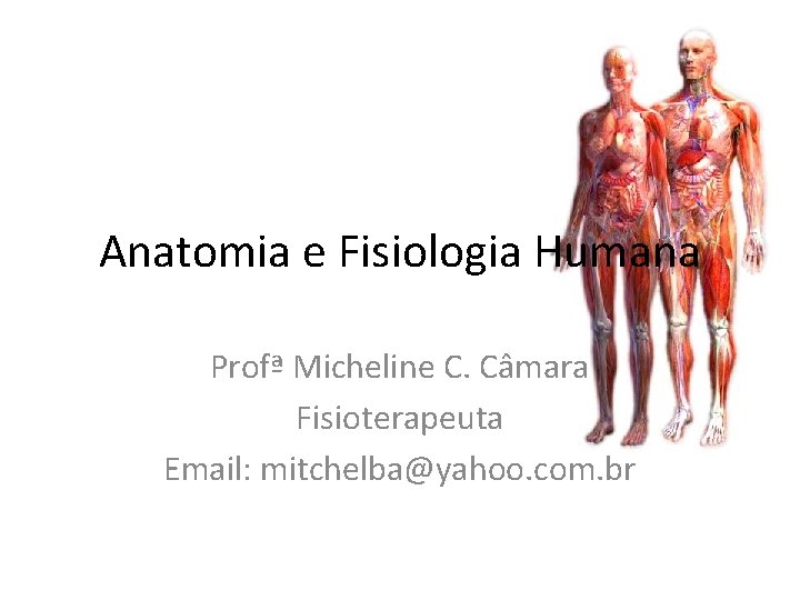 Anatomia e Fisiologia Humana Profª Micheline C. Câmara Fisioterapeuta Email: mitchelba@yahoo. com. br 