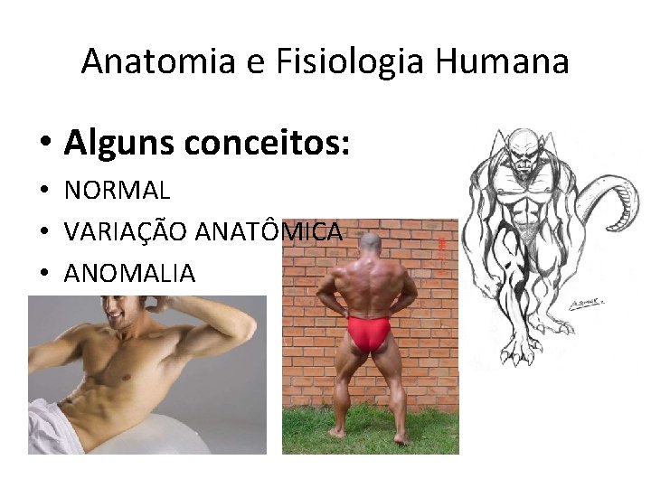 Anatomia e Fisiologia Humana • Alguns conceitos: • NORMAL • VARIAÇÃO ANATÔMICA • ANOMALIA