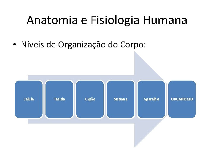 Anatomia e Fisiologia Humana • Níveis de Organização do Corpo: Célula Tecido Orgão Sistema