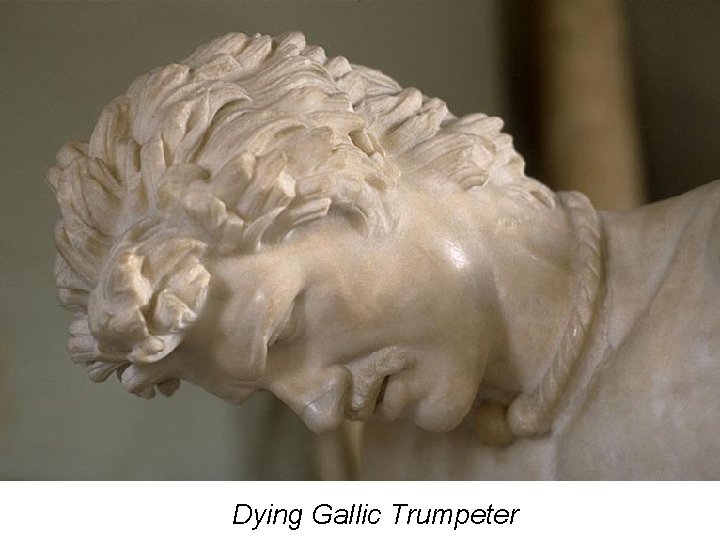Dying Gallic Trumpeter 