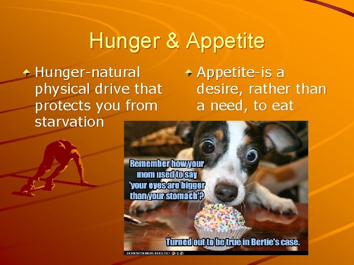 Hunger & Appetite Hunger-natural physical drive that protects you from starvation Appetite-is a desire,