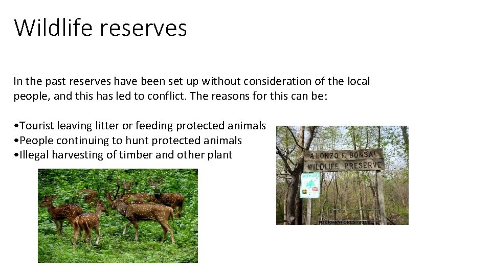 Wildlife reserves In the past reserves have been set up without consideration of the