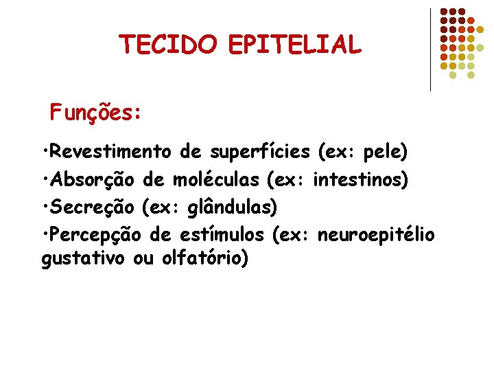 TECIDO EPITELIAL Funções: • Revestimento de superfícies (ex: pele) • Absorção de moléculas (ex: