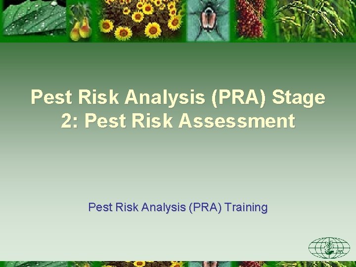 Pest Risk Analysis (PRA) Stage 2: Pest Risk Assessment Pest Risk Analysis (PRA) Training