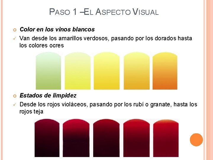 PASO 1 –EL ASPECTO VISUAL ü ü Color en los vinos blancos Van desde