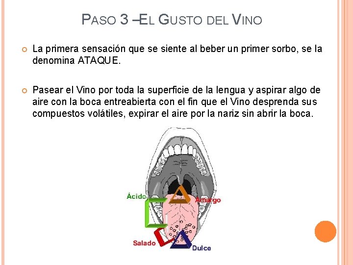 PASO 3 –EL GUSTO DEL VINO La primera sensación que se siente al beber