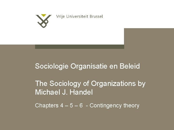 Sociologie Organisatie en Beleid The Sociology of Organizations by Michael J. Handel Chapters 4