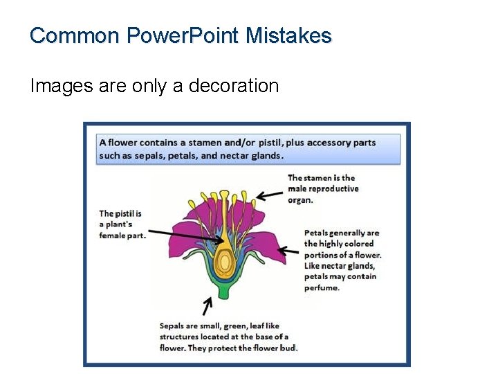 Common Power. Point Mistakes Images are only a decoration 