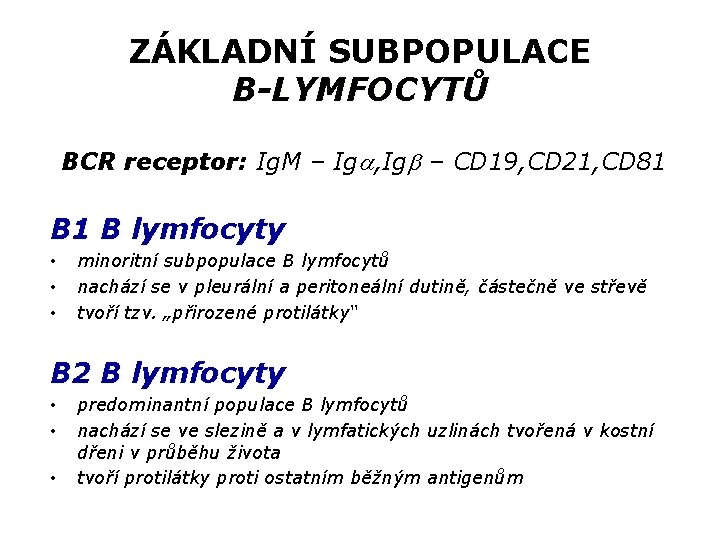 ZÁKLADNÍ SUBPOPULACE B-LYMFOCYTŮ BCR receptor: Ig. M – Ig , Ig – CD 19,