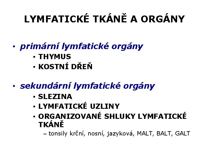 LYMFATICKÉ TKÁNĚ A ORGÁNY • primární lymfatické orgány • THYMUS • KOSTNÍ DŘEŇ •