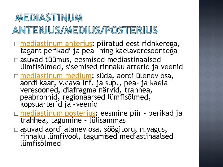 � mediastinum anterius: piiratud eest ridnkerega, tagant perikadi ja pea- ning kaelaveresoontega � asuvad