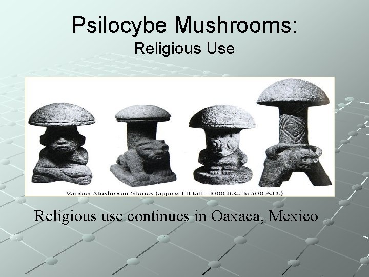 Psilocybe Mushrooms: Religious Use Religious use continues in Oaxaca, Mexico 