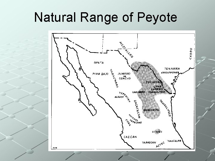 Natural Range of Peyote 