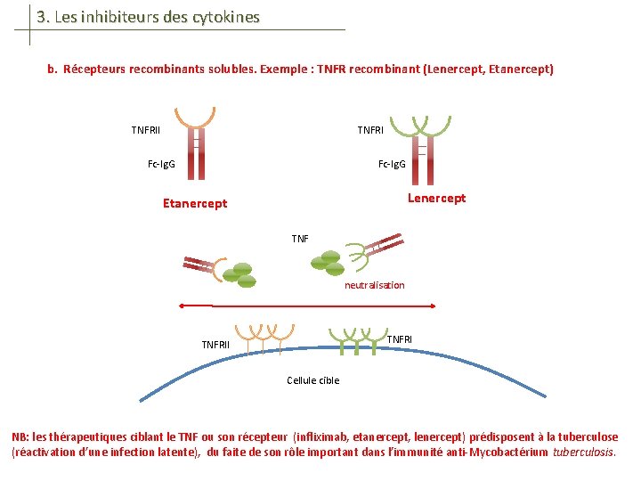3. Les inhibiteurs des cytokines b. Récepteurs recombinants solubles. Exemple : TNFR recombinant (Lenercept,