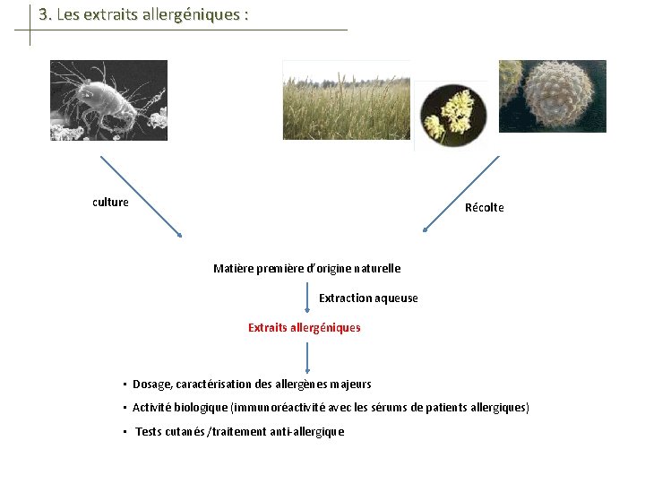 3. Les extraits allergéniques : culture Récolte Matière première d’origine naturelle Extraction aqueuse Extraits