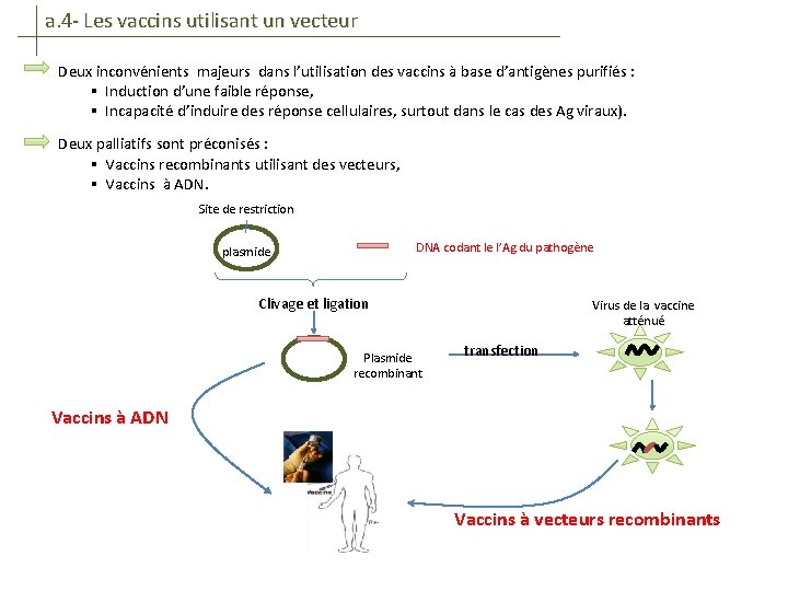 a. 4 - Les vaccins utilisant un vecteur Deux inconvénients majeurs dans l’utilisation des