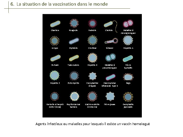 6. La situation de la vaccination dans le monde Charbon Rougeole Rubéole Choléra Grippe