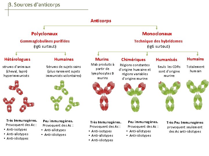 3. Sources d’anticorps Anticorps Polyclonaux Monoclonaux Gammaglobulines purifiées (Ig. G surtout) Technique des hybridomes