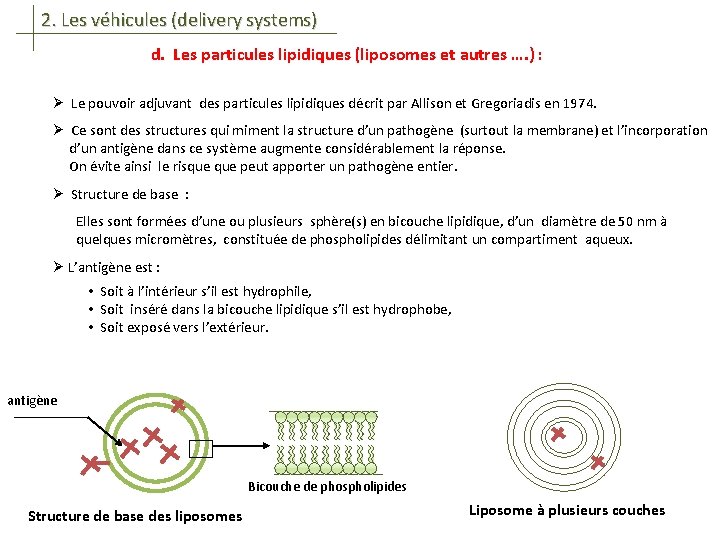 2. Les véhicules (delivery systems) d. Les particules lipidiques (liposomes et autres …. )